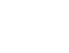 logo-premium